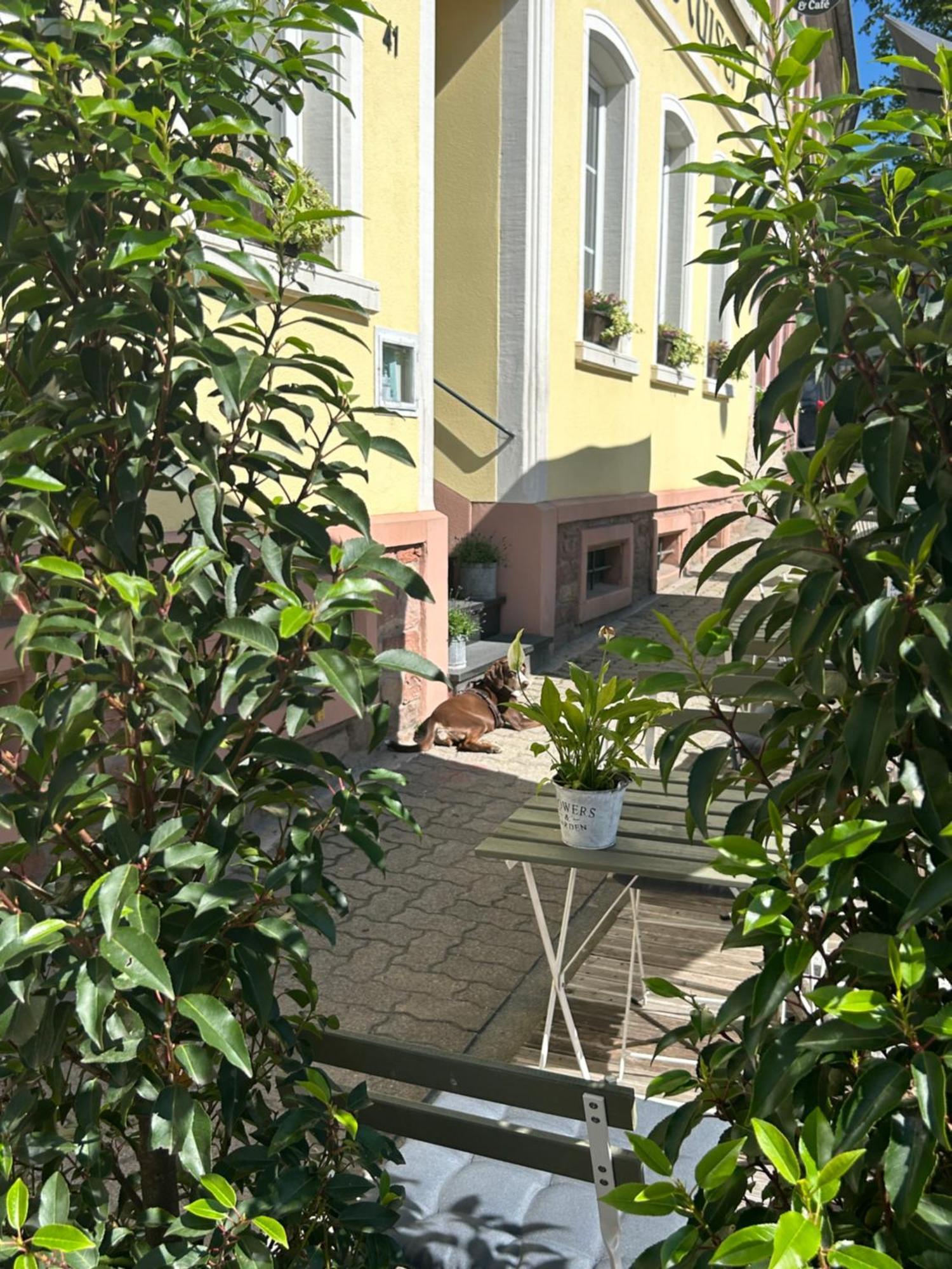 Dk Hotel Heidelberg Exteriör bild